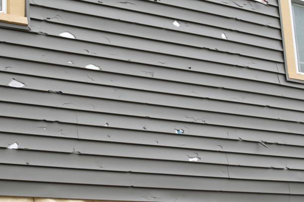 Shed Removal in Meadow Oaks, FL