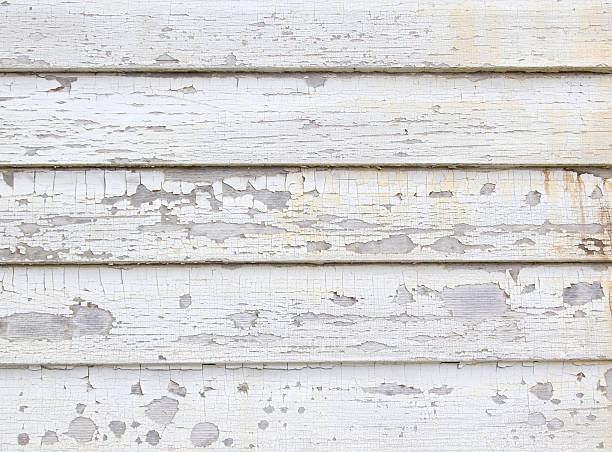 Best Carpet Removal and Disposal  in Meadow Oaks, FL