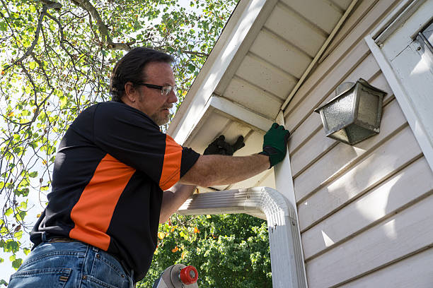 Best Same-Day Junk Removal Services  in Meadow Oaks, FL